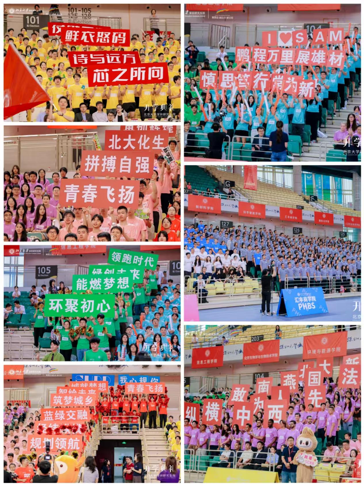 0b7c05453c2cec47a68b84f13bfc77dc